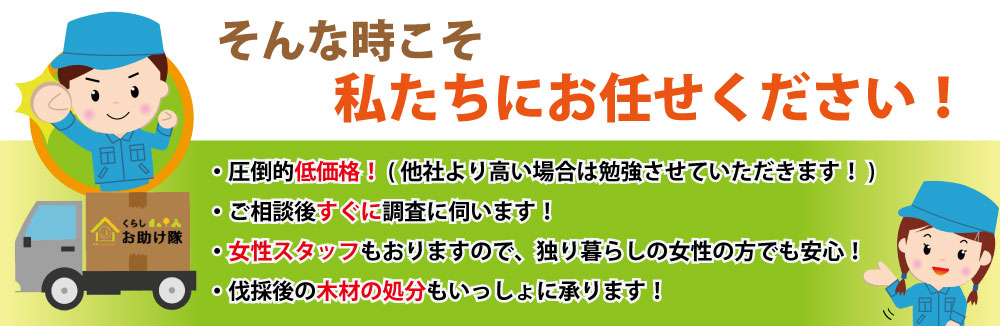 圧倒的低価格で即日対応！女性スタッフも在籍しています。安心して私たちにお任せください！